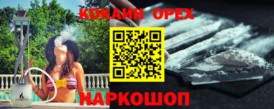 МДПВ Кингисепп