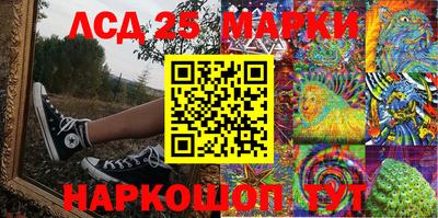 МДПВ Кингисепп