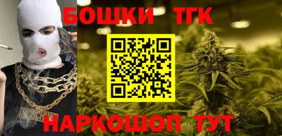 МДПВ Кингисепп