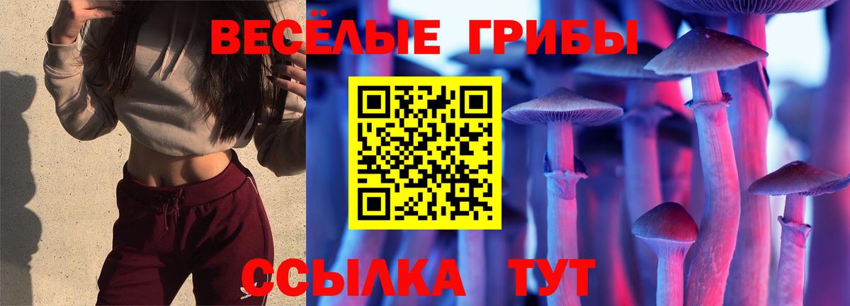 Чайковский  Псилоцибиновые грибы GOLDEN TEACHER  Вход с VPN 